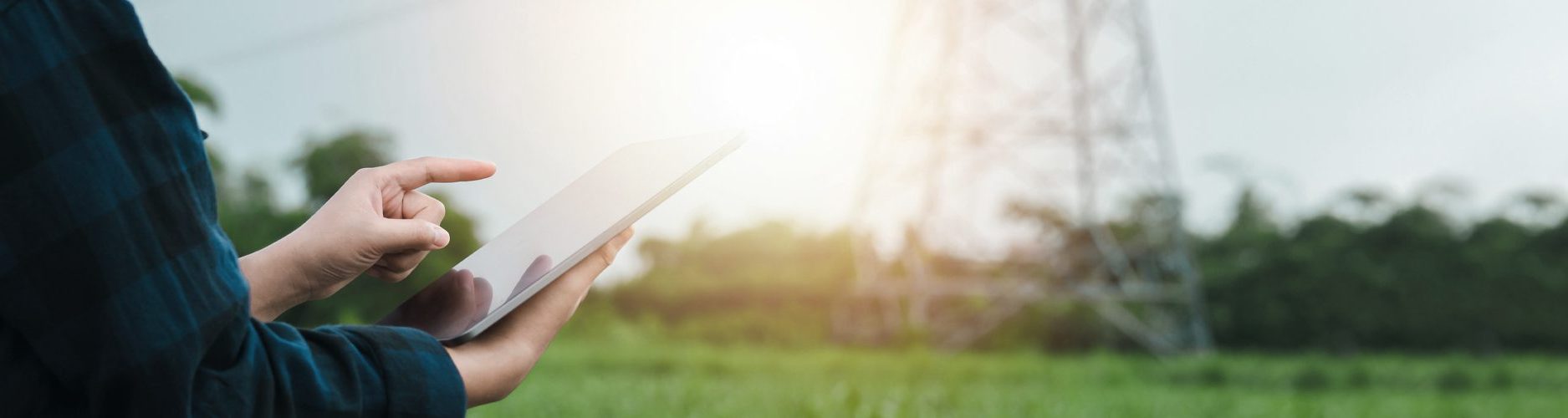 Frau hält Tablet in der Hand und steht im Feld